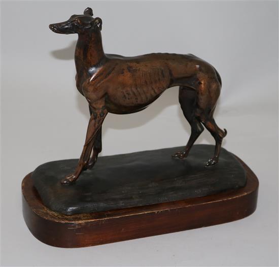 A Victorian copper bronze model of a greyhound, H. 9in.